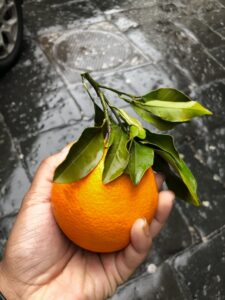 Ny kunde Ny kunde Safemarketing
